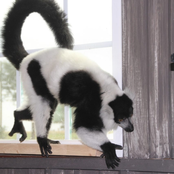 ๐ Black & Gray Large Under Armour Coldgear Zippered Windbreaker Running Jacket - Picture 11 of 16